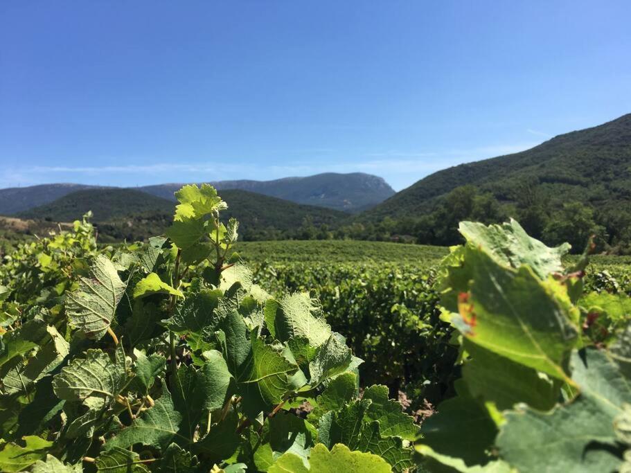 L'Ancienne Raffinerie De Tabac Βίλα Dernacueillette Εξωτερικό φωτογραφία