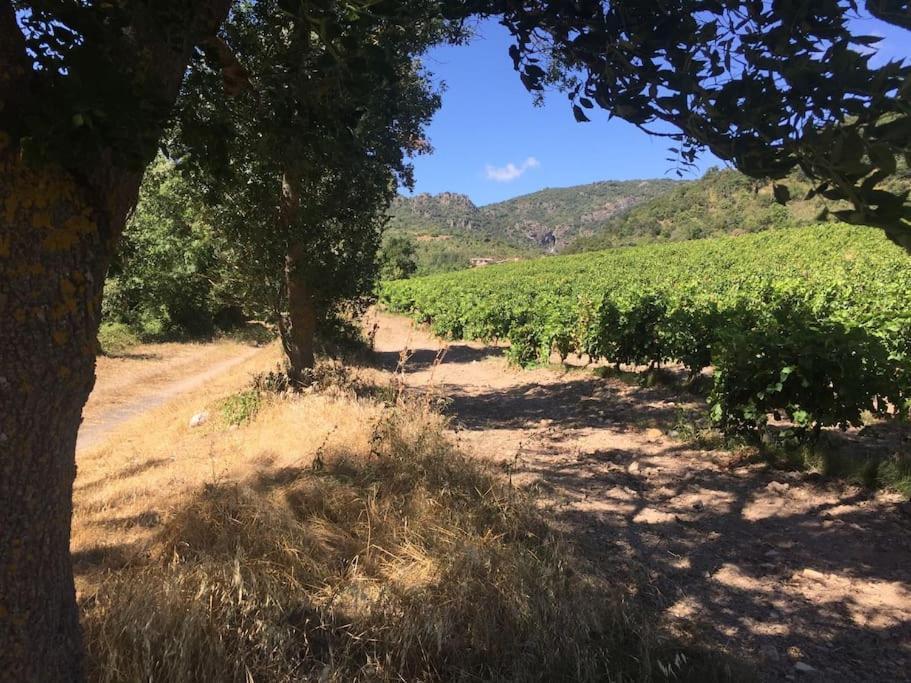 L'Ancienne Raffinerie De Tabac Βίλα Dernacueillette Εξωτερικό φωτογραφία